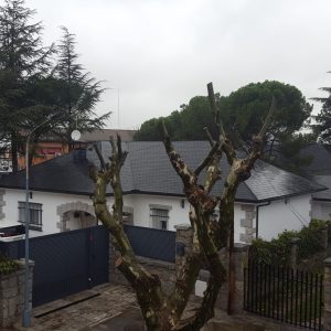 1villalba